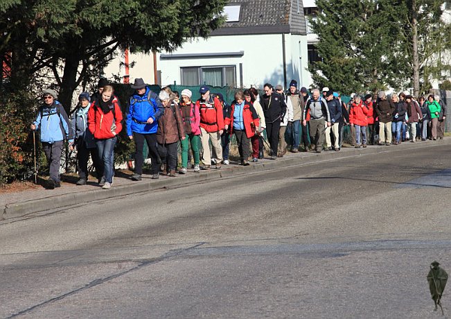 Pilgerschar unterwegs