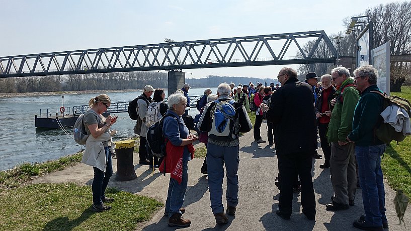 Pilger am Rhein