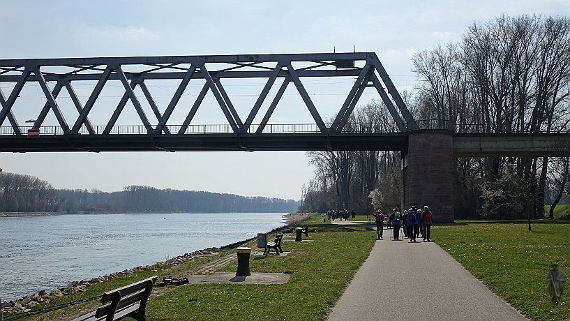 Pilger am Rhein