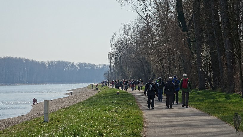 Pilger am Rhein