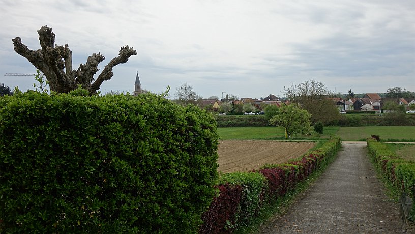 Marienkapelle am Almosenberg, Blick auf Rülzheim