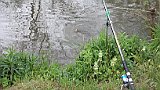 209-23 Wandern 25.4.15 Samstagspilgern, 3. Etappe Rülzheim - Landau, Angler Fisch.mp4