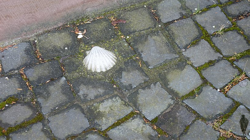 Muschelstein Heilig Kreuz Kirche Landau