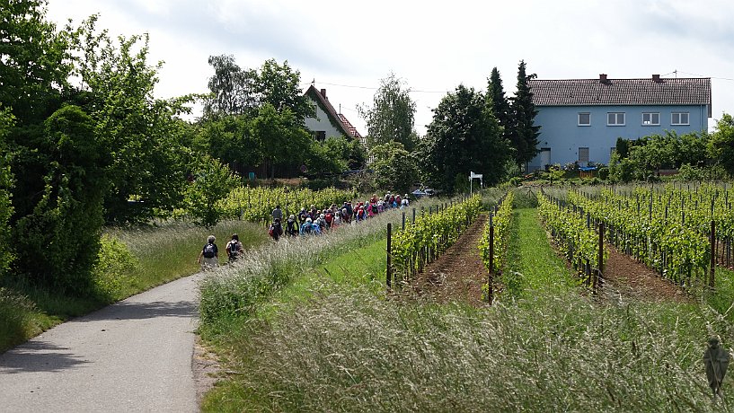 Pilger vor Arzheim