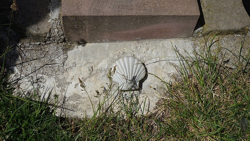 Muschelstein bei Kapelle Kleine Kalmit