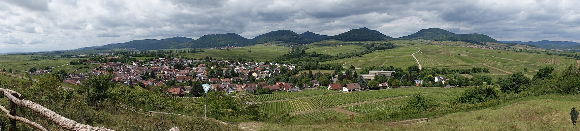 Blick zur Hardt von Kapelle Kleine Kalmit