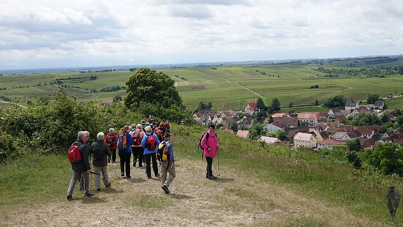 Pilger vor Ilbesheim