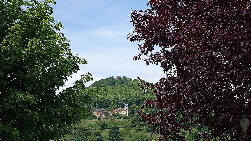 Slevogthof mit Burg Neukastel