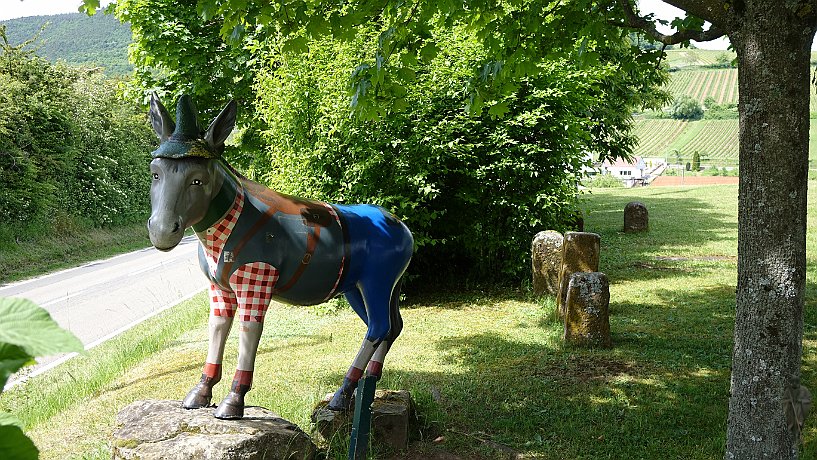 Esel beim Leinsweilerhof