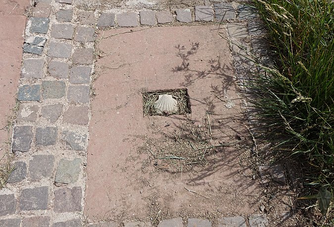 Muschelstein in Eschbach