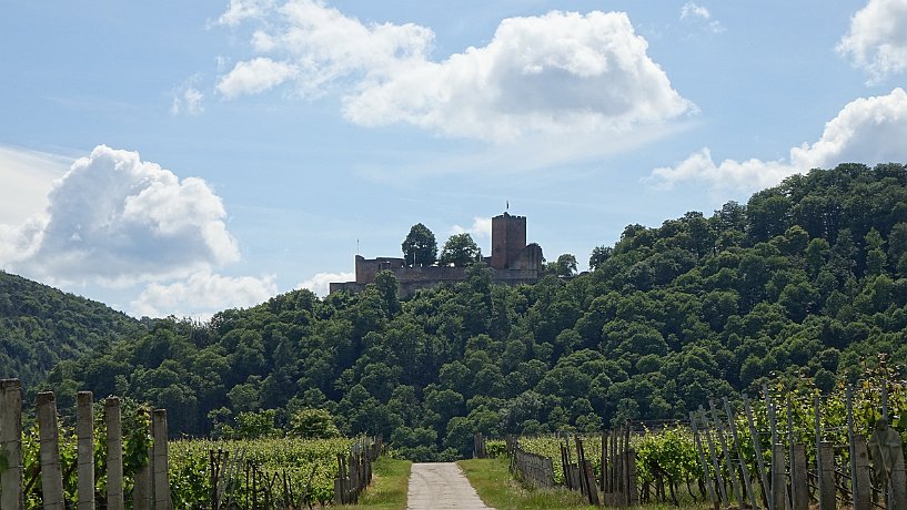 Burgruine Landeck