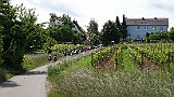215-25 Wandern 30.5.2015 Samstagspilgern, 4. Etappe Landau - Klingenmünster, Pilger vor Arzheim.JPG