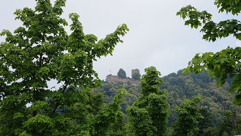 Burg Landeck