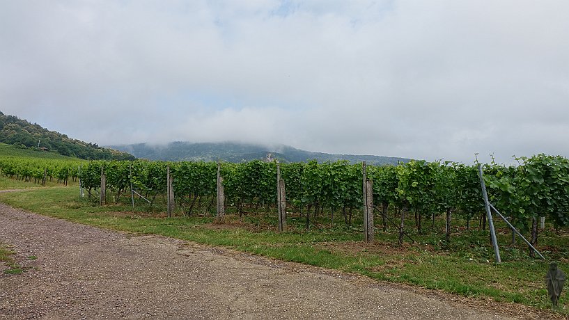 Burg Landeck im Nebel