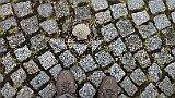 218-09 Wandern 27.6.15 Samstagspilgern 5. Etappe Klingenmünster - Wissembourg, Stiftskirche Klingenmünster, Muschelstein.JPG