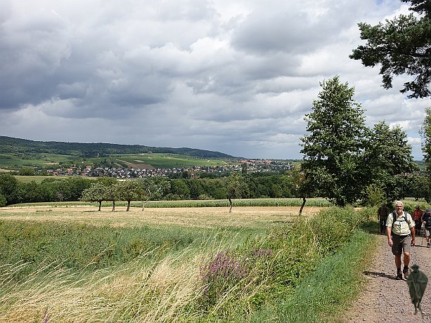 Rückblick nach Wissembourg