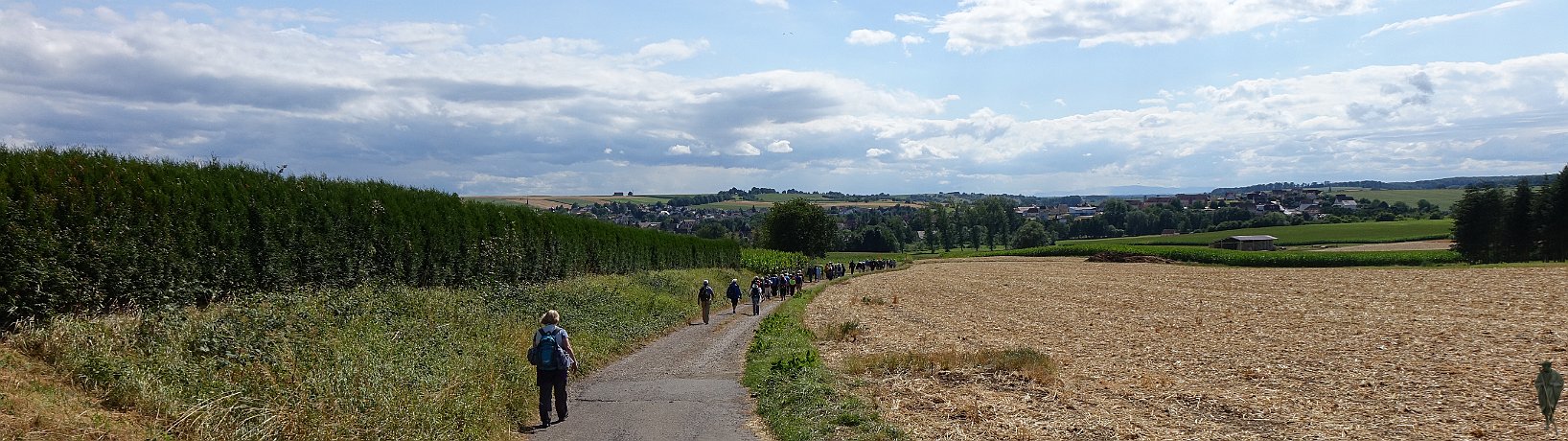 Panorama vor Soultz s.F: