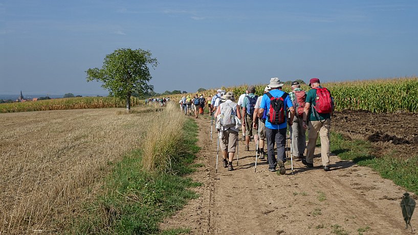 Pilger vor Surbourg