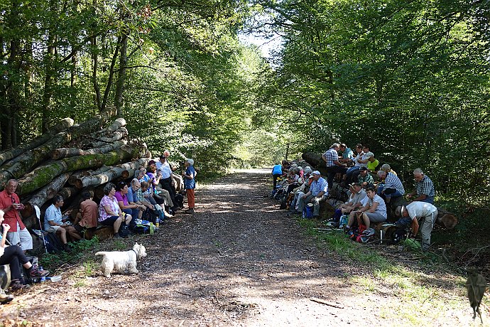 Rast vor Bilisheim