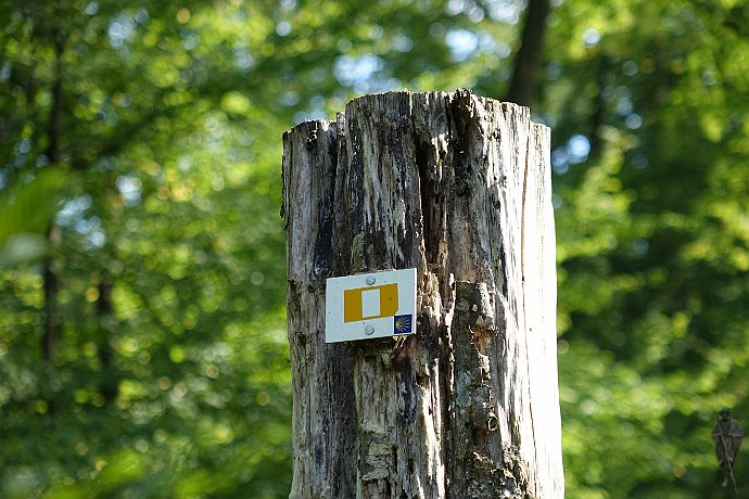 Markierung im Hagenauer Forst