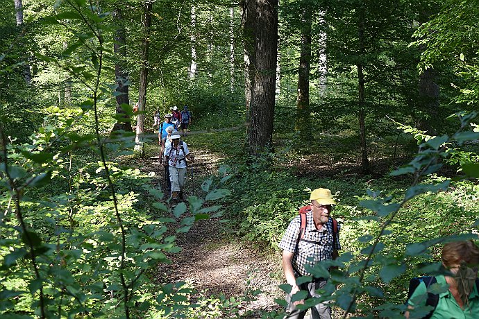 Pilger im Hagenauer Forst
