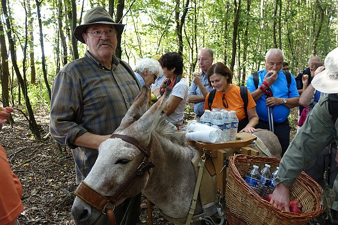 Pilger mit Esel