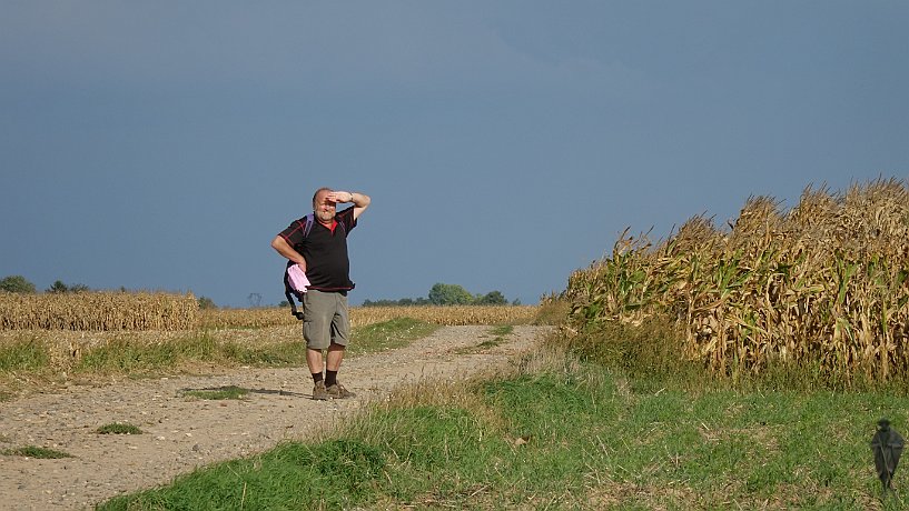 Vor Brumath, Blick zum Straßburger Münster