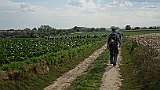 230-57 Wandern 26.9.15 Samstagspilgern Haguenau - Brumath, Pilgerweg.JPG