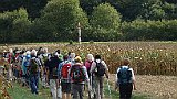 230-58 Wandern 26.9.15 Samstagspilgern Haguenau - Brumath, Pilgerweg, Wegekreuz.JPG