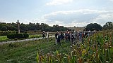 230-61 Wandern 26.9.15 Samstagspilgern Haguenau - Brumath, Pilger, Wegekreuz.JPG