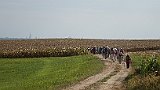 230-69 Wandern 26.9.15 Samstagspilgern Haguenau - Brumath, Pilger, Münster Strasburg.JPG