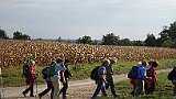 230-73 Wandern 26.9.15 Samstagspilgern Haguenau - Brumath, Pilger, Münster Strasburg.JPG